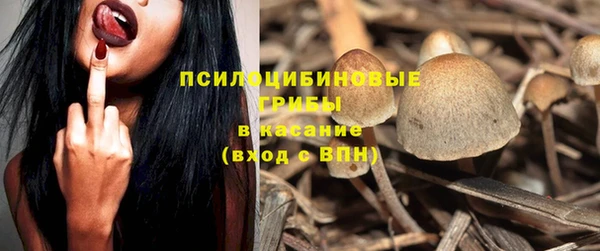 кокс Снежногорск