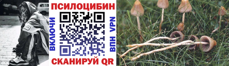 mega вход Кувандык Псилоцибиновые грибы Cubensis