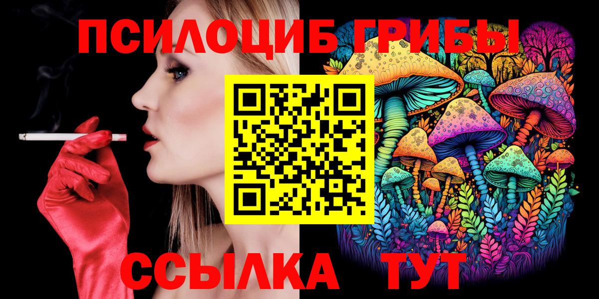 Кувандык  Псилоцибиновые грибы Psilocybe  Вход с VPN  сколько стоит  Галлюциногенные грибы Magic Shrooms 