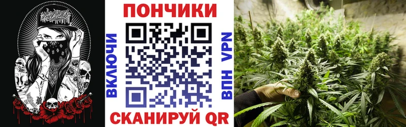 Конопля OG Kush  где можно купить   Кувандык 